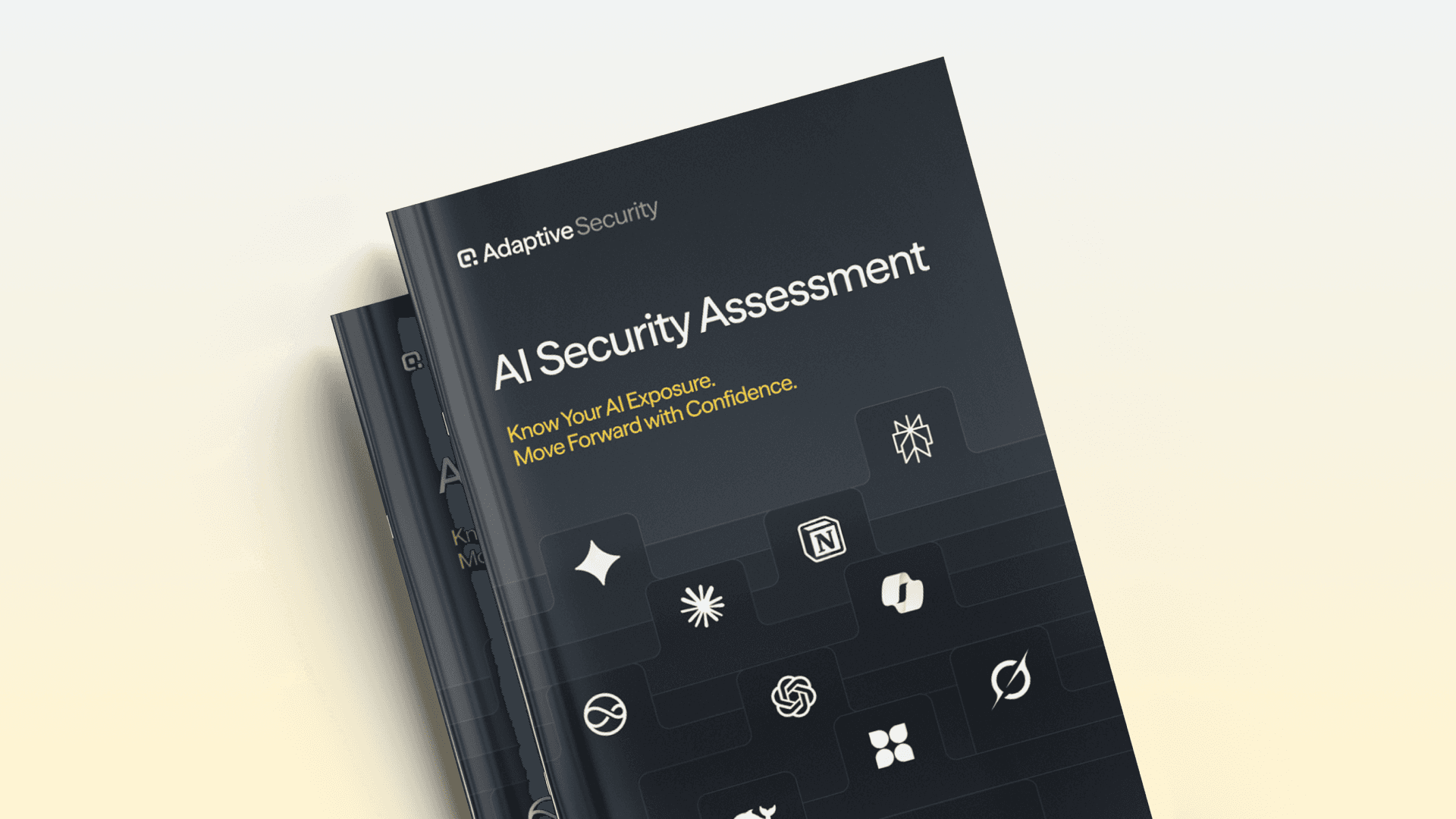 AI Security Assessment