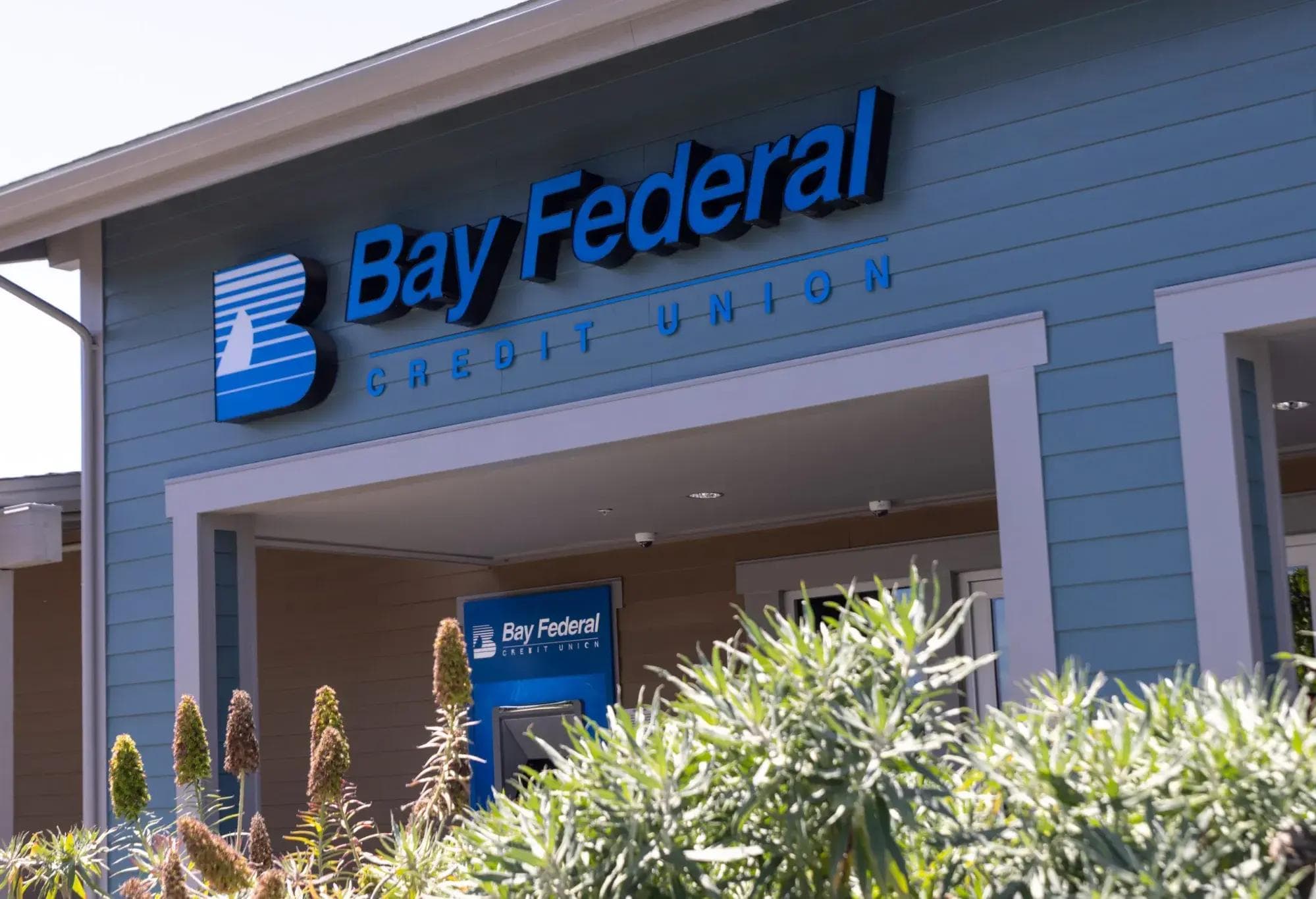 Bay Federal Credit Union customer story